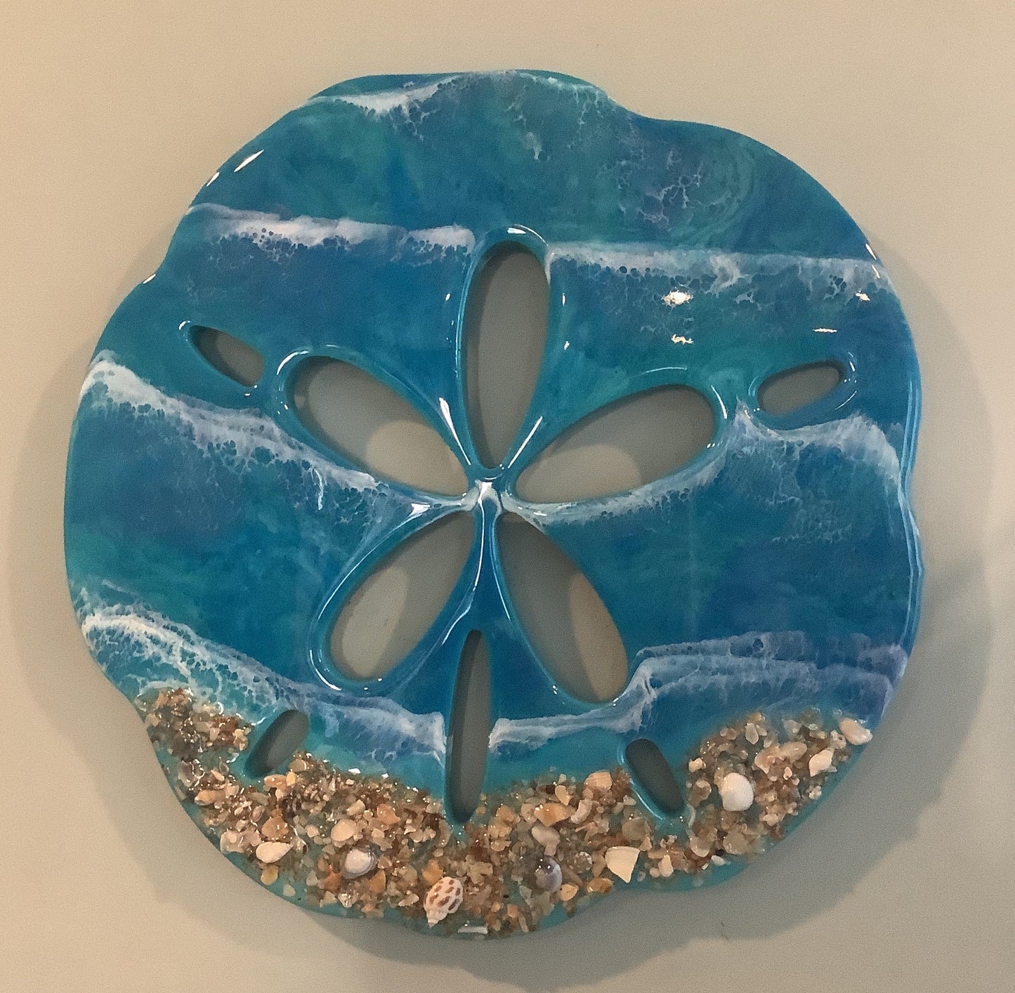 Sand Dollar 12 Inches